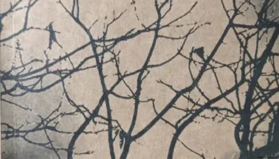 বাংলাদেশের উপন্যাসে মুক্তিযুদ্ধের রূপায়ণের সূচীপত্র